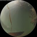 ./images/calvert/underwater/20260729/underwater20260729_055501M.jpg