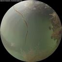 ./images/calvert/underwater/20260729/underwater20260729_060501M.jpg