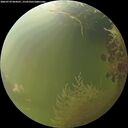 ./images/calvert/underwater/20260729/underwater20260729_064501M.jpg