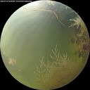 ./images/calvert/underwater/20260729/underwater20260729_065001M.jpg