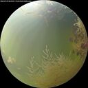 ./images/calvert/underwater/20260729/underwater20260729_065501M.jpg