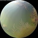 ./images/calvert/underwater/20260729/underwater20260729_070001M.jpg