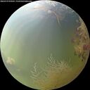 ./images/calvert/underwater/20260729/underwater20260729_070501M.jpg