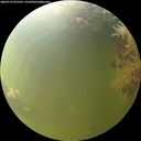 ./images/calvert/underwater/20260729/underwater20260729_072501M.jpg