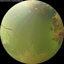 ./images/calvert/underwater/20260729/underwater20260729_073501M.jpg
