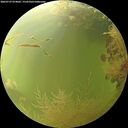 ./images/calvert/underwater/20260729/underwater20260729_074001M.jpg
