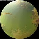 ./images/calvert/underwater/20260729/underwater20260729_074501M.jpg