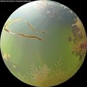 ./images/calvert/underwater/20260729/underwater20260729_075501M.jpg