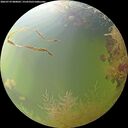 ./images/calvert/underwater/20260729/underwater20260729_080001M.jpg