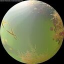 ./images/calvert/underwater/20260729/underwater20260729_081501M.jpg