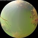./images/calvert/underwater/20260729/underwater20260729_082501M.jpg