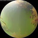 ./images/calvert/underwater/20260729/underwater20260729_083002M.jpg