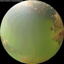 ./images/calvert/underwater/20260729/underwater20260729_083501M.jpg
