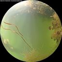 ./images/calvert/underwater/20260729/underwater20260729_084501M.jpg