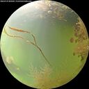 ./images/calvert/underwater/20260729/underwater20260729_085002M.jpg
