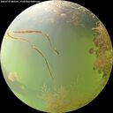 ./images/calvert/underwater/20260729/underwater20260729_085501M.jpg