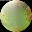 ./images/calvert/underwater/20260729/underwater20260729_091501M.jpg