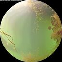 ./images/calvert/underwater/20260729/underwater20260729_092001M.jpg