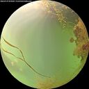 ./images/calvert/underwater/20260729/underwater20260729_093001M.jpg