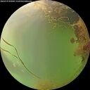 ./images/calvert/underwater/20260729/underwater20260729_094001M.jpg