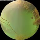 ./images/calvert/underwater/20260729/underwater20260729_094501M.jpg