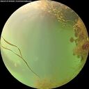 ./images/calvert/underwater/20260729/underwater20260729_095002M.jpg
