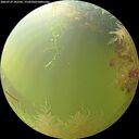 ./images/calvert/underwater/20260729/underwater20260729_102501M.jpg