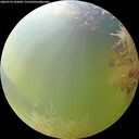 ./images/calvert/underwater/20260729/underwater20260729_103001M.jpg