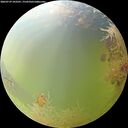 ./images/calvert/underwater/20260729/underwater20260729_103501M.jpg
