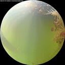 ./images/calvert/underwater/20260729/underwater20260729_104001M.jpg