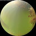 ./images/calvert/underwater/20260729/underwater20260729_104501M.jpg