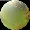 ./images/calvert/underwater/20260729/underwater20260729_105501M.jpg