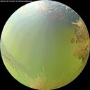 ./images/calvert/underwater/20260729/underwater20260729_111501M.jpg