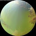 ./images/calvert/underwater/20260729/underwater20260729_112001M.jpg