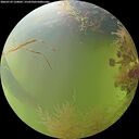 ./images/calvert/underwater/20260729/underwater20260729_120002M.jpg