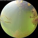./images/calvert/underwater/20260729/underwater20260729_120501M.jpg