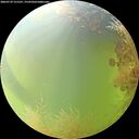 ./images/calvert/underwater/20260729/underwater20260729_121501M.jpg