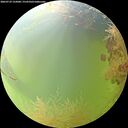 ./images/calvert/underwater/20260729/underwater20260729_122001M.jpg