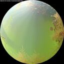 ./images/calvert/underwater/20260729/underwater20260729_122501M.jpg