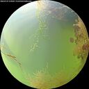 ./images/calvert/underwater/20260729/underwater20260729_123001M.jpg