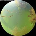 ./images/calvert/underwater/20260729/underwater20260729_123501M.jpg