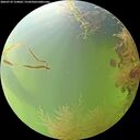 ./images/calvert/underwater/20260729/underwater20260729_124001M.jpg