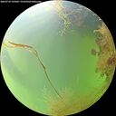 ./images/calvert/underwater/20260729/underwater20260729_125002M.jpg