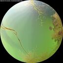 ./images/calvert/underwater/20260729/underwater20260729_125501M.jpg