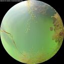 ./images/calvert/underwater/20260729/underwater20260729_130501M.jpg
