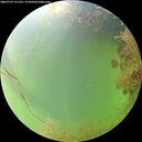 ./images/calvert/underwater/20260729/underwater20260729_131501M.jpg