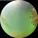 ./images/calvert/underwater/20260729/underwater20260729_132001M.jpg