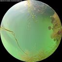 ./images/calvert/underwater/20260729/underwater20260729_133002M.jpg