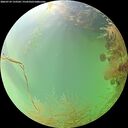 ./images/calvert/underwater/20260729/underwater20260729_133501M.jpg
