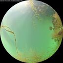 ./images/calvert/underwater/20260729/underwater20260729_134501M.jpg